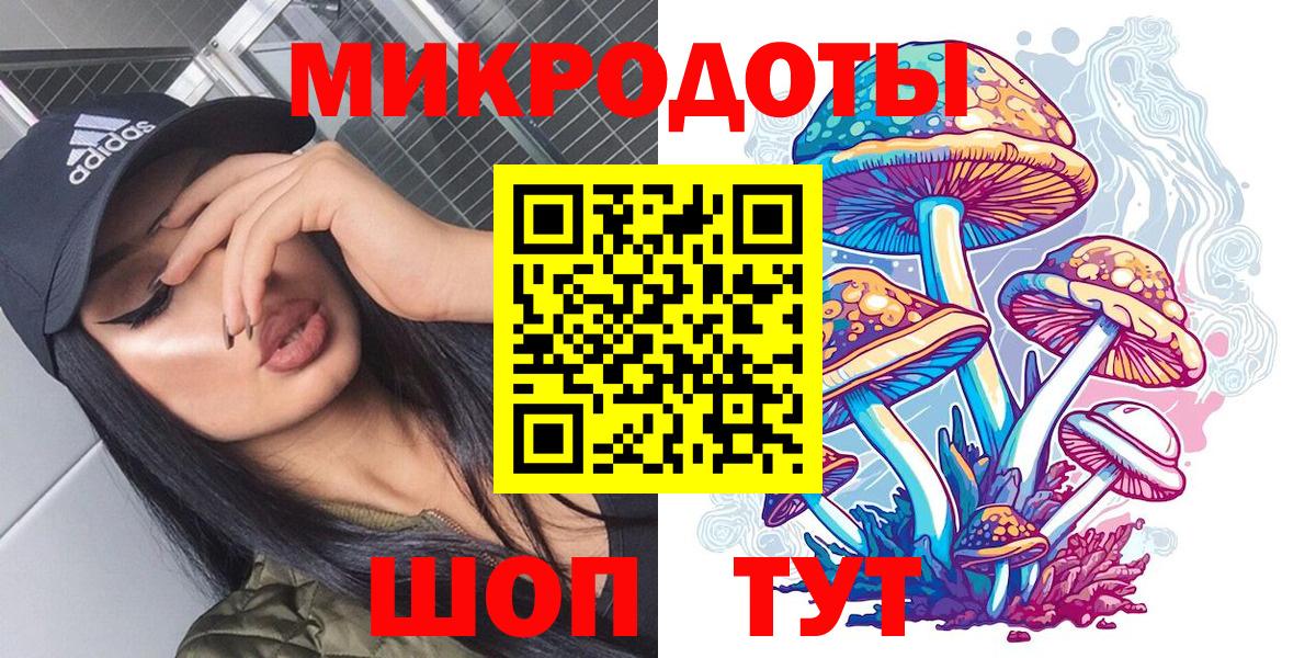 Псилоцибиновые грибы Cubensis Усть-Кут